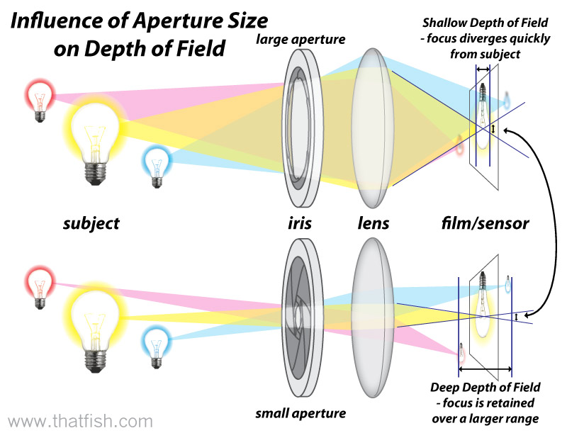 Diagram showing light paths through a camera aperture and lens onto the film.