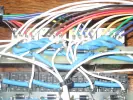 Wiring.