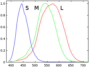 Graph of cone response functions.